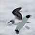 GPC (@gpcbirding) Twitter profile photo GPC (@gpcbirding) Twitter profile photo