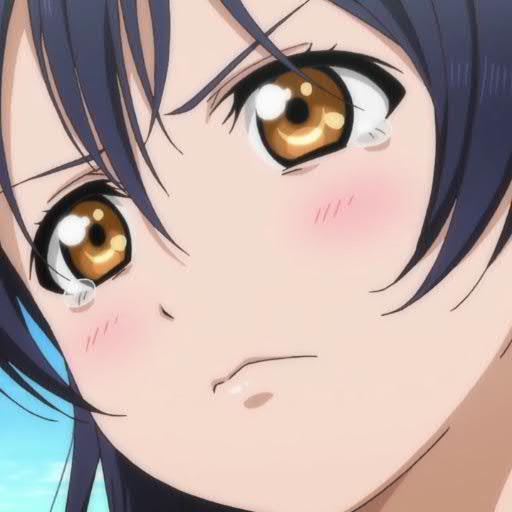 突然彼氏に別れを切り出された園田海未ちゃんのコンセプトbotです。ご注意ください。