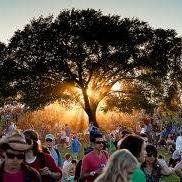A new 1 day music festival, following in the footsteps of Lazonbylive.
Set in the grounds of Nunwick hall estates!