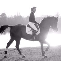 Equestrian Life (@equestrianlif3) 's Twitter Profile Photo
