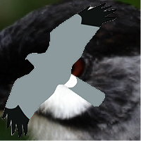 Andy Deighton (@andydeigh) 's Twitter Profile