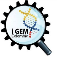 Syn-Bio Uniandes (@colombia_igem1) 's Twitter Profile