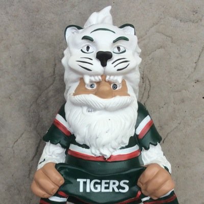 Expat living on the South Wales coast. Leicester Tigers supporter and Wolves fan.