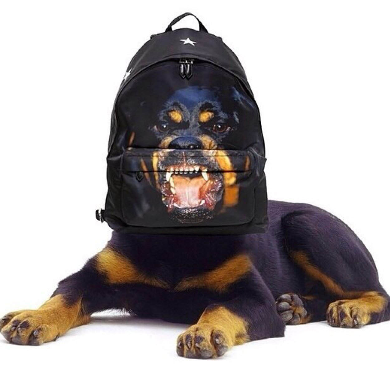 LBJpiano's profile picture. 