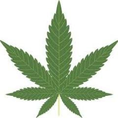 Big fan of http://t.co/mGbkD3rYI0 - Still long Tweed and $TRTC and a spot of $MJNA - Beware of $AGTK (going to zero)