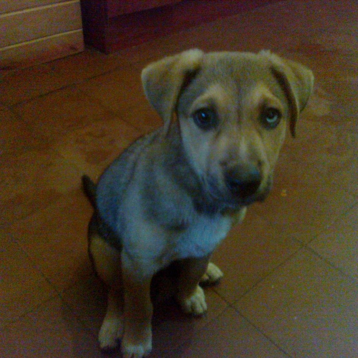 dhk_80's profile picture. 