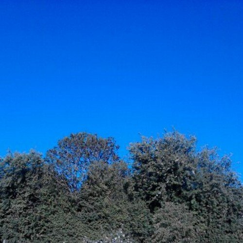 MartinErrity's profile picture. 