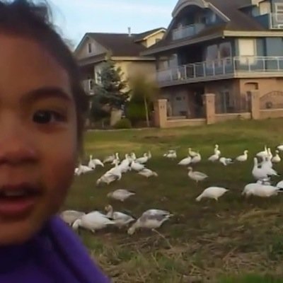 Look at all those chickenthssss