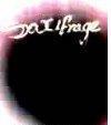 Saxifrage1 Profile Picture