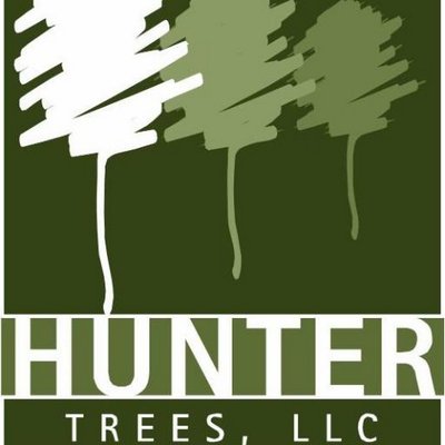 Hunter_Trees's profile image