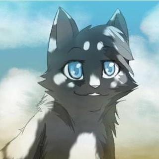 Shecat, single. I'm not so friendly but I try to be. I don't quiet understand my past...my life isn't all that great I have to follow orders from this cat.
