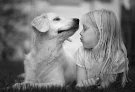 IreneRamrez's profile picture. La vida sucede en los hechos,no en las palabras ¡Se tu el cambio que quieres ver!