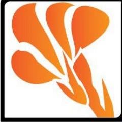 VFCanna's profile picture. We are your best source to buy individually tested, virus-free canna lilies. We tweet and RT canna lily info, pictures, stories, and more!