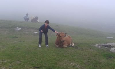 alfredonalca's profile picture. Corbera - Valencia