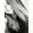 kusvanlotte's profile image