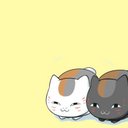 西本 (@05Nisimoto) Twitter