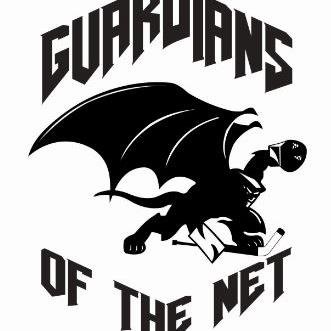 WSAGuardians's profile picture. Westchester's Premier Year Round Goalie School