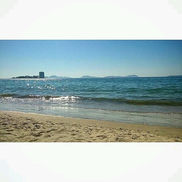 Malualva63's profile picture. 