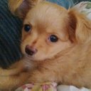 jodie stuart - @JksJojo - Twitter