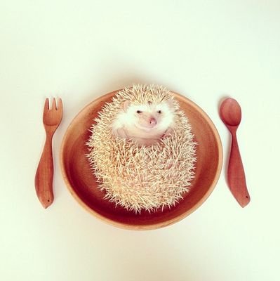 ᆞㅡᆞ