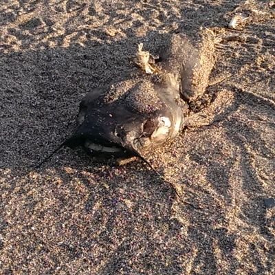 mch20ss's profile picture. dead inside, older then my age. tired  in general. memegod