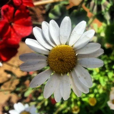 حساب ديني