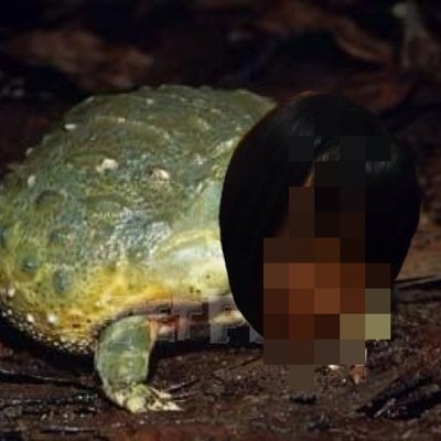 ウシガエルbot 0001 News Twitter ウシガエルbot 0001 News Twitter