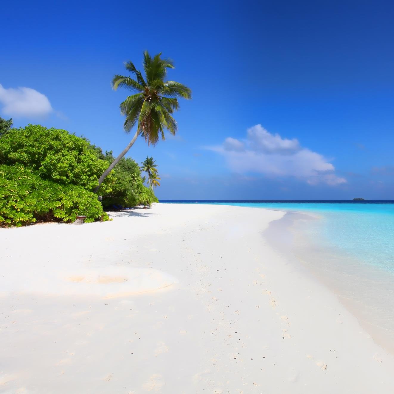 I love it to travel and hang out with my friends.
I like swimming, reading, relaxing at the beach and dancing.