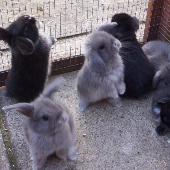 aaron_217's profile picture. 3 :3 @JudithGuyandi_ 3:3