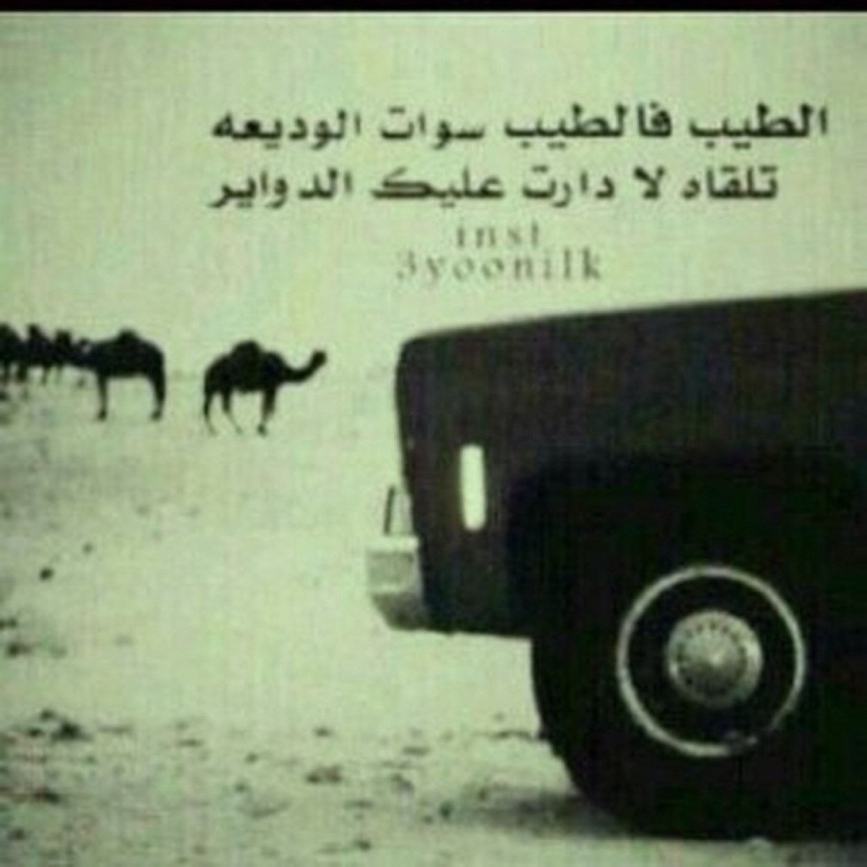 من توسع قلبه بحب ﴿الله﴾ . . توسعت له قلوب الناس بالمحبة ❤️.