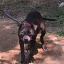 Dillon Conner - @dconner63 - Twitter