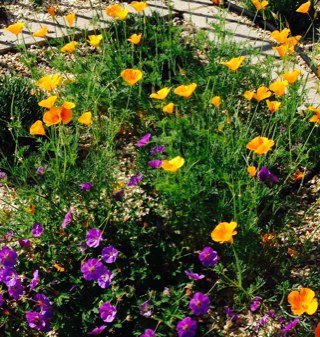 jachaw8's profile picture. 