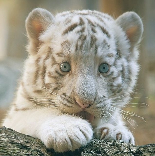 haj26's profile picture. 음악을 좋아함. 먹는건 더 좋아함.