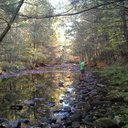 Jamal Daniels - @JamalRhuoul - Twitter