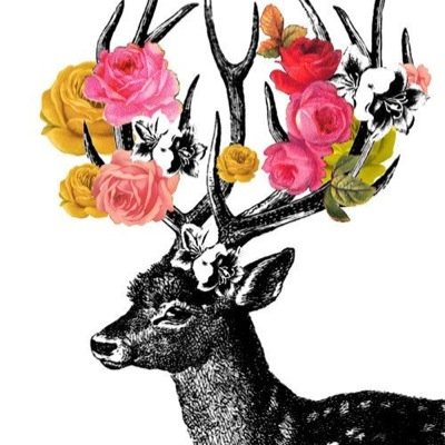 DeerFina's profile picture. Local boutique with one of kind fashion & accessories!!! Its about the relationship with our clients. Follow us on: fackbook, instagram and twitter