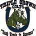 Triple Crown Colts (@TripleCrownEl) Twitter profile photo