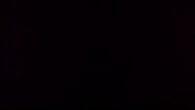 shavenbiguy's profile picture. 