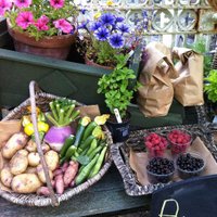 Dovecote Nursery(@dovecotenursery) 's Twitter Profile Photo