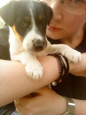 YFritzsche's profile picture. 