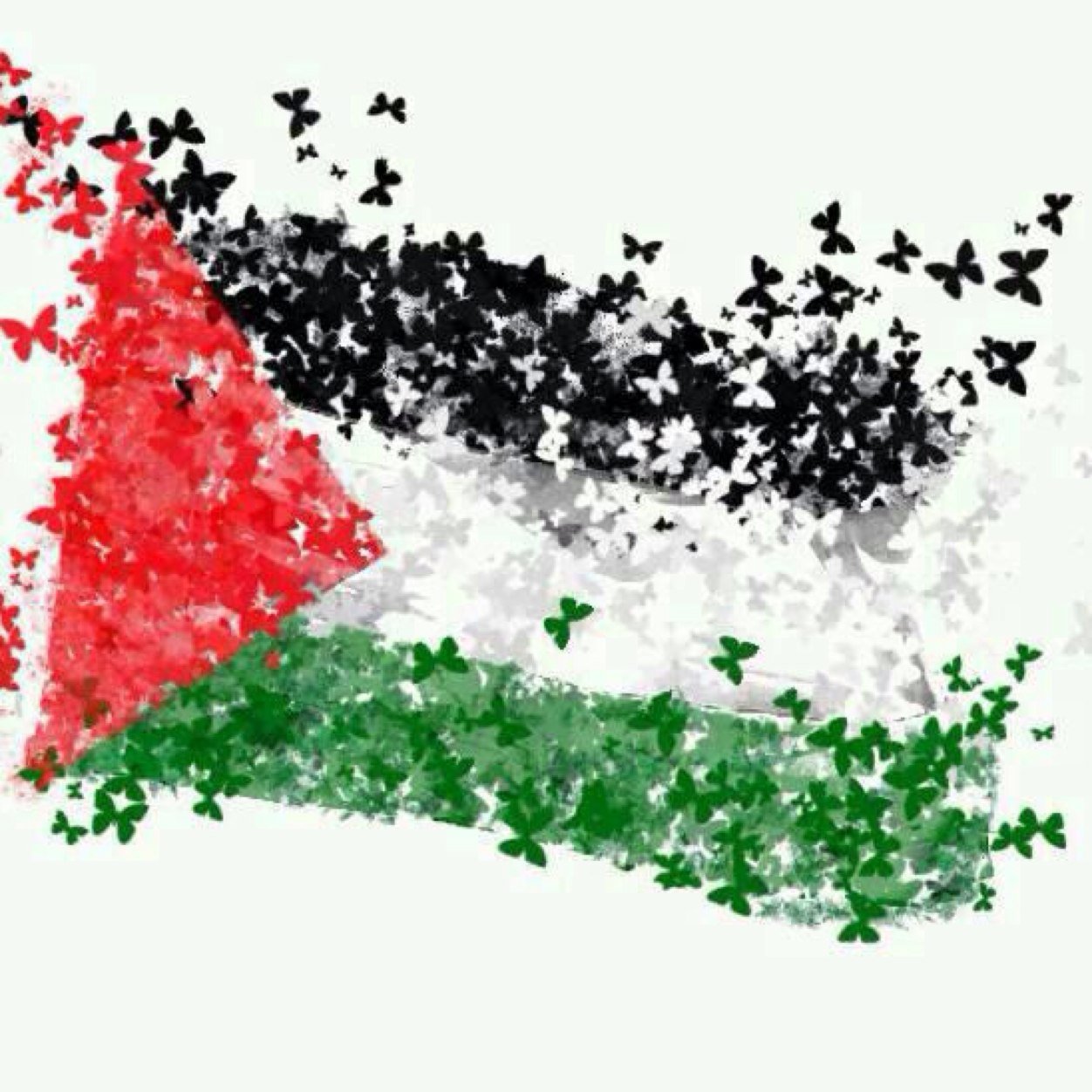 Male, Muslim, 27, Cape Town