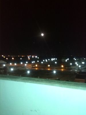 HuiNicotina's profile picture. 