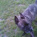 Tina Miles - @KmylesTina - Twitter