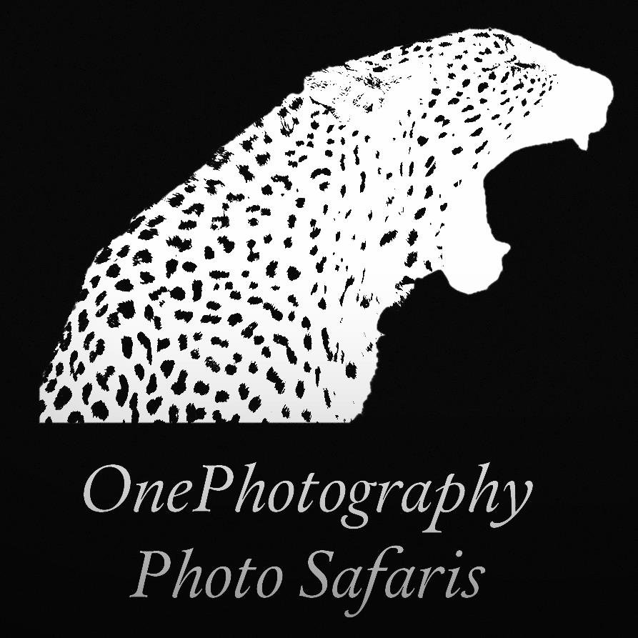Exclusive, unique and unforgettable photographic safaris. #photography #safaris #travel john@onephotography.co.za