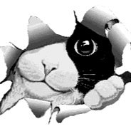 pilmolt Profile Picture