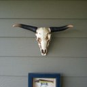 Jason Webb - @jswebb72 - Twitter