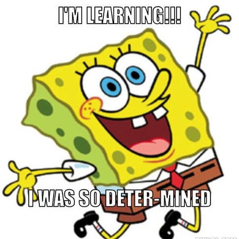 NOBSCS's profile picture. No BS CS is a no-nonsense guide to beginning computer science.