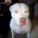 Annette Eakins - @AeEakins - Twitter