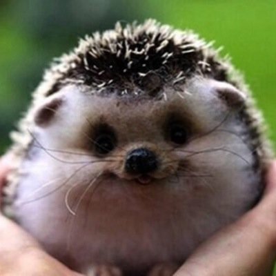 Competitive CoD player