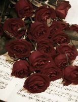 ‏‏‏سبحان الله وبحمده سبحان الله العظيم..عذراالحساب الاول محذوف.