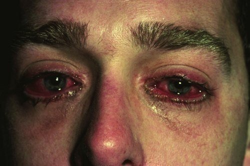 alwayskilled's profile picture. #подчемто
#Мыслиподчемто
#убитсерьезно
#ЧитайМеняАяТебя
#ВзаимноЧитаю
#ЗафолловьМеня